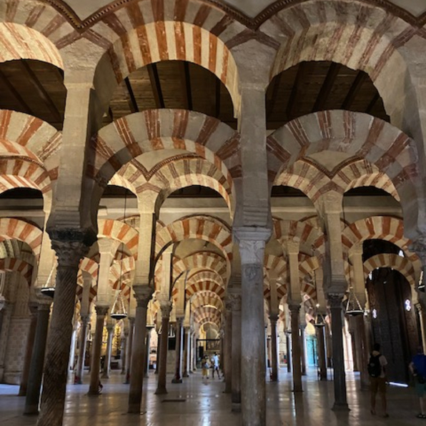 Spanish Tertulia – Advanced