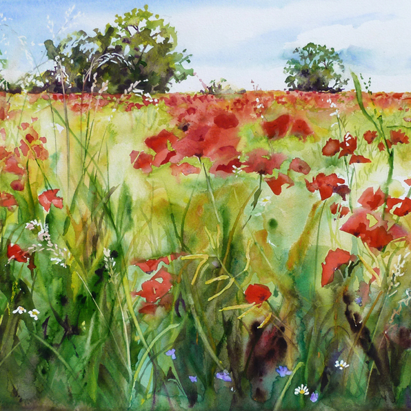 Watercolour Field full of Flowers