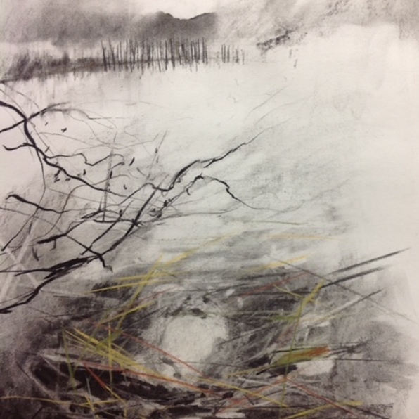 Learn Charcoal Drawing