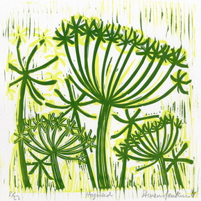 hogweed